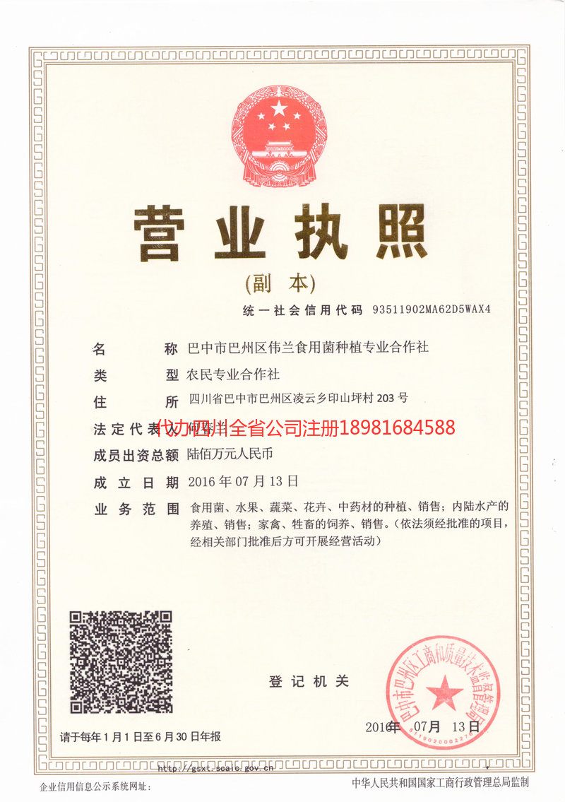 四川四川伟兰食用菌种植专业合作社